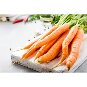  Fresh  Red Carrot